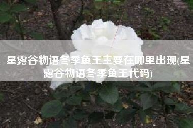 星露谷物语冬季鱼王主要在哪里出现(星露谷物语冬季鱼王代码)