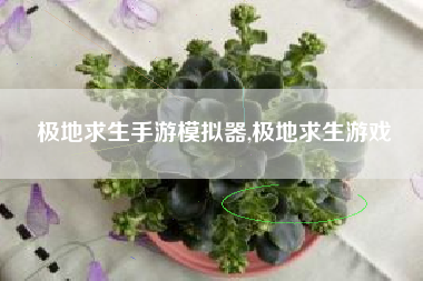 极地求生手游模拟器,极地求生游戏