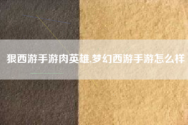 狠西游手游肉英雄,梦幻西游手游怎么样