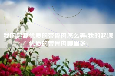 我的起源优质的带骨肉怎么弄(我的起源优质的带骨肉哪里多)