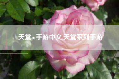 天堂m手游中文,天堂系列手游