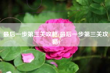最后一步第三关攻略(最后一步第三关攻略)