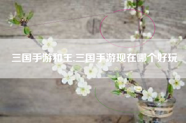 三国手游和王,三国手游现在哪个好玩
