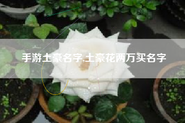 手游土豪名字,土豪花两万买名字
