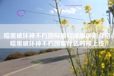 暗黑破坏神不朽国际服和国服区别介绍(暗黑破坏神不朽国服什么时候上线)