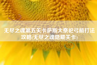 无尽之魂第五关卡萨斯大祭祀弓箭打法攻略(无尽之魂隐藏关卡)