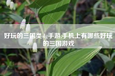 好玩的三国类slg手游,手机上有哪些好玩的三国游戏