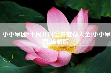 小小军团2平民开局培养推荐大全(小小军团2破解版)