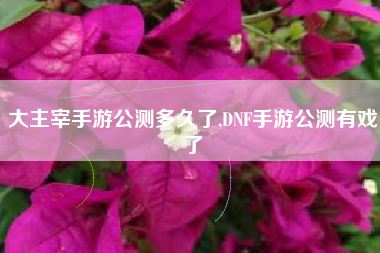 大主宰手游公测多久了,DNF手游公测有戏了
