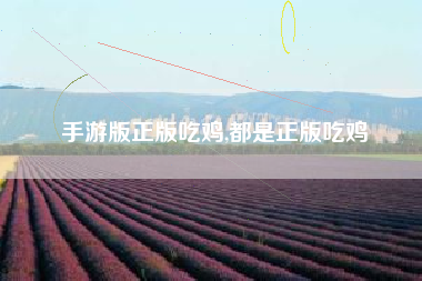 手游版正版吃鸡,都是正版吃鸡