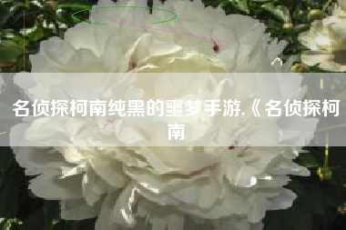 名侦探柯南纯黑的噩梦手游,《名侦探柯南