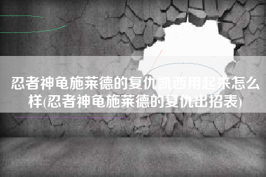 忍者神龟施莱德的复仇凯西用起来怎么样(忍者神龟施莱德的复仇出招表)