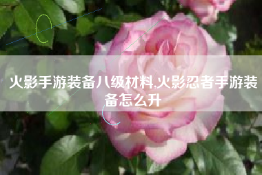 火影手游装备八级材料,火影忍者手游装备怎么升