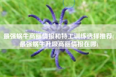 最强蜗牛高丽情报和特工训练选择推荐(最强蜗牛升级高丽情报在哪)