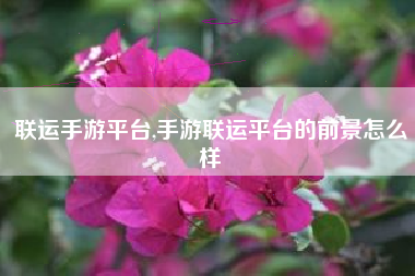 联运手游平台,手游联运平台的前景怎么样