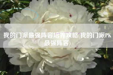 我的门派最强阵容培养攻略(我的门派PK最强阵容)