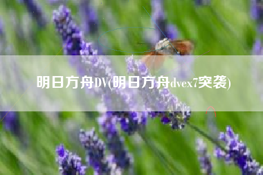 明日方舟DV(明日方舟dvex7突袭)