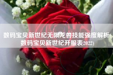 数码宝贝新世纪无限龙兽技能强度解析(数码宝贝新世纪开服表2022)