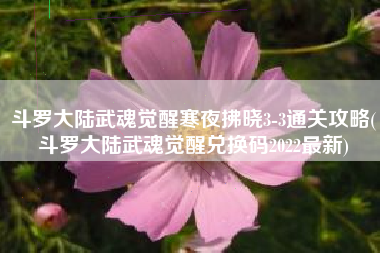 斗罗大陆武魂觉醒寒夜拂晓3-3通关攻略(斗罗大陆武魂觉醒兑换码2022最新)