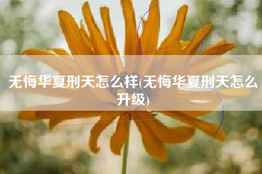 无悔华夏刑天怎么样(无悔华夏刑天怎么升级)