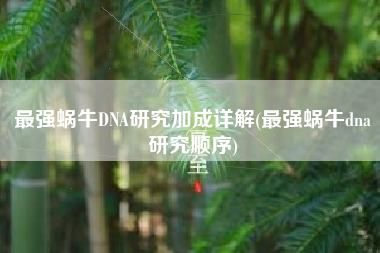 最强蜗牛DNA研究加成详解(最强蜗牛dna研究顺序)