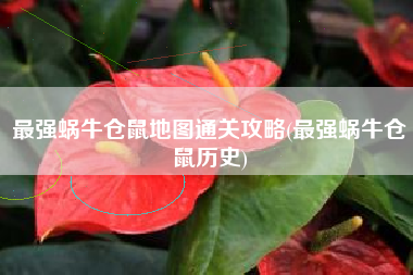 最强蜗牛仓鼠地图通关攻略(最强蜗牛仓鼠历史)