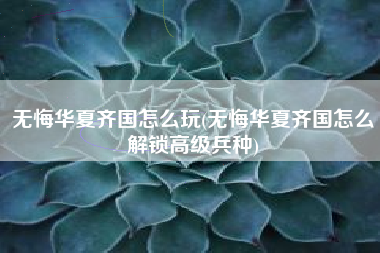 无悔华夏齐国怎么玩(无悔华夏齐国怎么解锁高级兵种)
