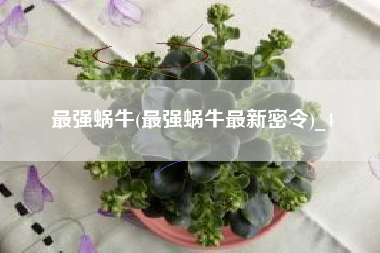 最强蜗牛(最强蜗牛最新密令)_4