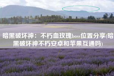 暗黑破坏神：不朽血玫瑰boss位置分享(暗黑破坏神不朽安卓和苹果互通吗)