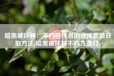 暗黑破坏神：不朽苦行者的遗泽套装获取方法(暗黑破坏神不朽九盏灯)