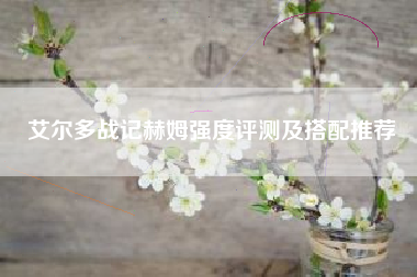 艾尔多战记赫姆强度评测及搭配推荐