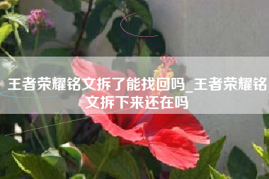 王者荣耀铭文拆了能找回吗_王者荣耀铭文拆下来还在吗