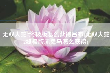 无双大蛇2终极版怎么获得吕布(无双大蛇2终极版赤兔马怎么获得)