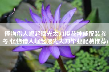 怪物猎人崛起曙光太刀樱花神威配装参考(怪物猎人崛起曙光太刀毕业配装推荐)