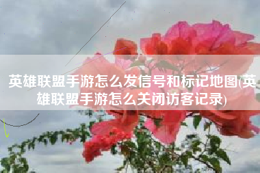 英雄联盟手游怎么发信号和标记地图(英雄联盟手游怎么关闭访客记录)