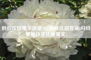 蚂蚁庄园魔芋块茎 811蚂蚁庄园答案(马铃薯是块茎还是果实)