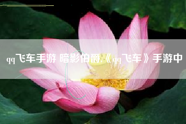 qq飞车手游 暗影伯爵,《qq飞车》手游中