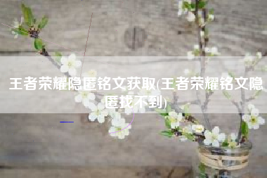 王者荣耀隐匿铭文获取(王者荣耀铭文隐匿找不到)