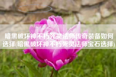 暗黑破坏神不朽死灵法师传奇装备如何选择(暗黑破坏神不朽死灵法师宝石选择)