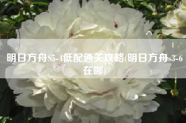 明日方舟S5-4低配通关攻略(明日方舟s3-6在哪)
