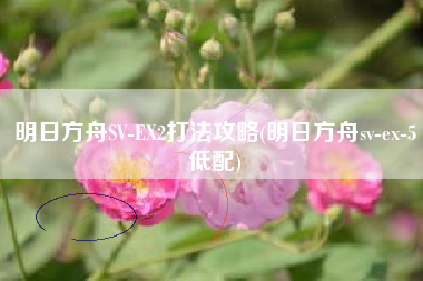 明日方舟SV-EX2打法攻略(明日方舟sv-ex-5低配)