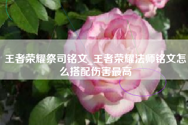 王者荣耀祭司铭文_王者荣耀法师铭文怎么搭配伤害最高