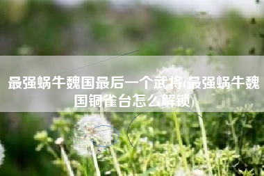 最强蜗牛魏国最后一个武将(最强蜗牛魏国铜雀台怎么解锁)