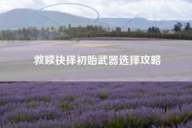 救赎抉择初始武器选择攻略