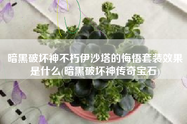 暗黑破坏神不朽伊沙塔的悔悟套装效果是什么(暗黑破坏神传奇宝石)