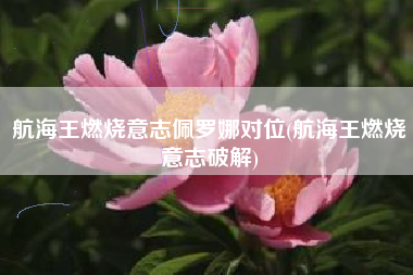 航海王燃烧意志佩罗娜对位(航海王燃烧意志破解)