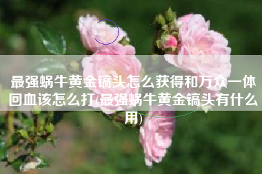 最强蜗牛黄金镐头怎么获得和万众一体回血该怎么打(最强蜗牛黄金镐头有什么用)