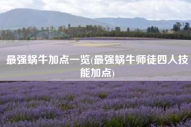 最强蜗牛加点一览(最强蜗牛师徒四人技能加点)