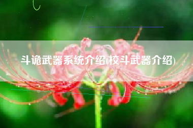 斗诡武器系统介绍(校斗武器介绍)