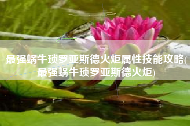 最强蜗牛琐罗亚斯德火炬属性技能攻略(最强蜗牛琐罗亚斯德火炬)
